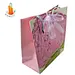 shopping luxury bag